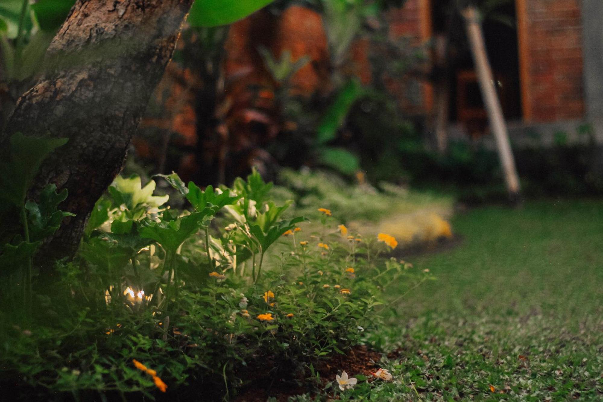 The Govardhan Homestay Canggu  Luaran gambar